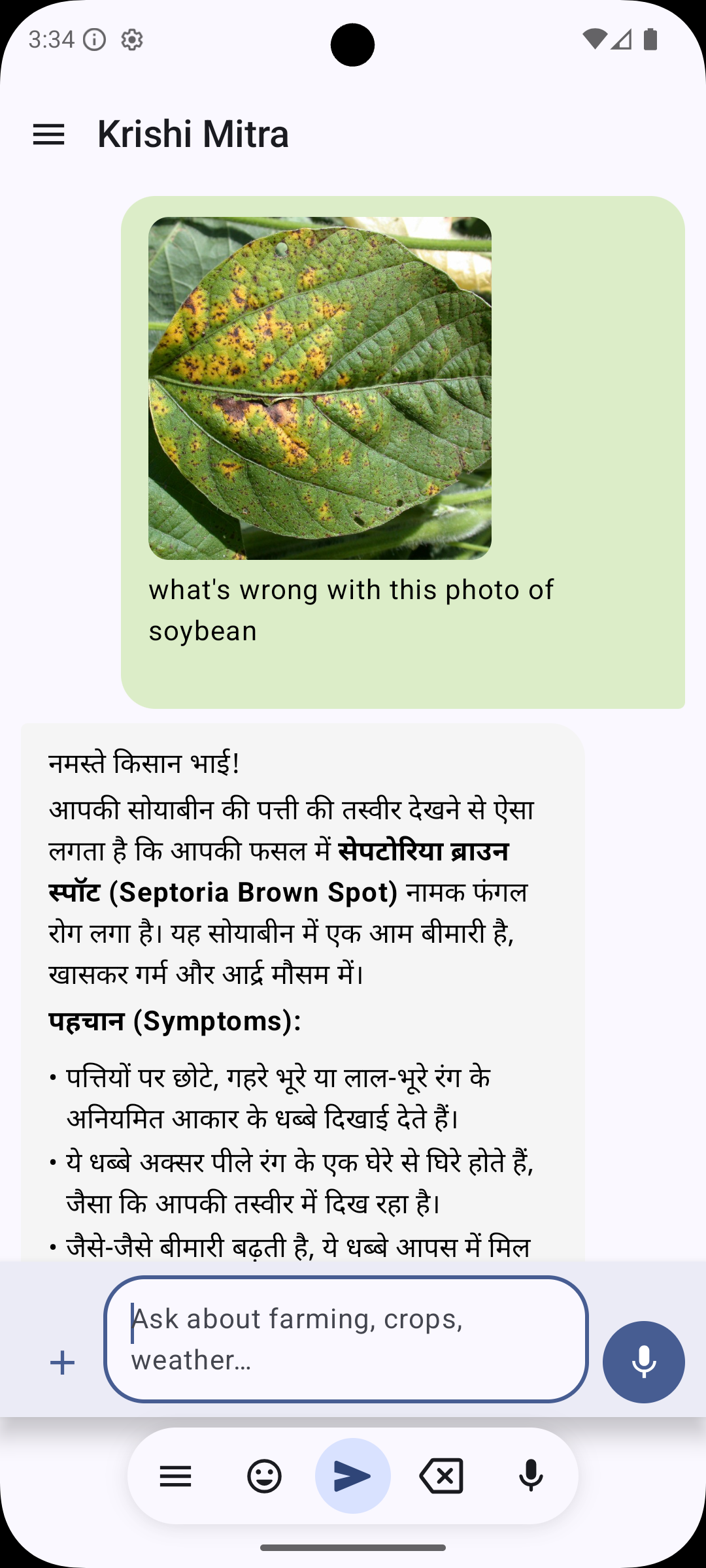 Krishi AI Crop Scan Feature
