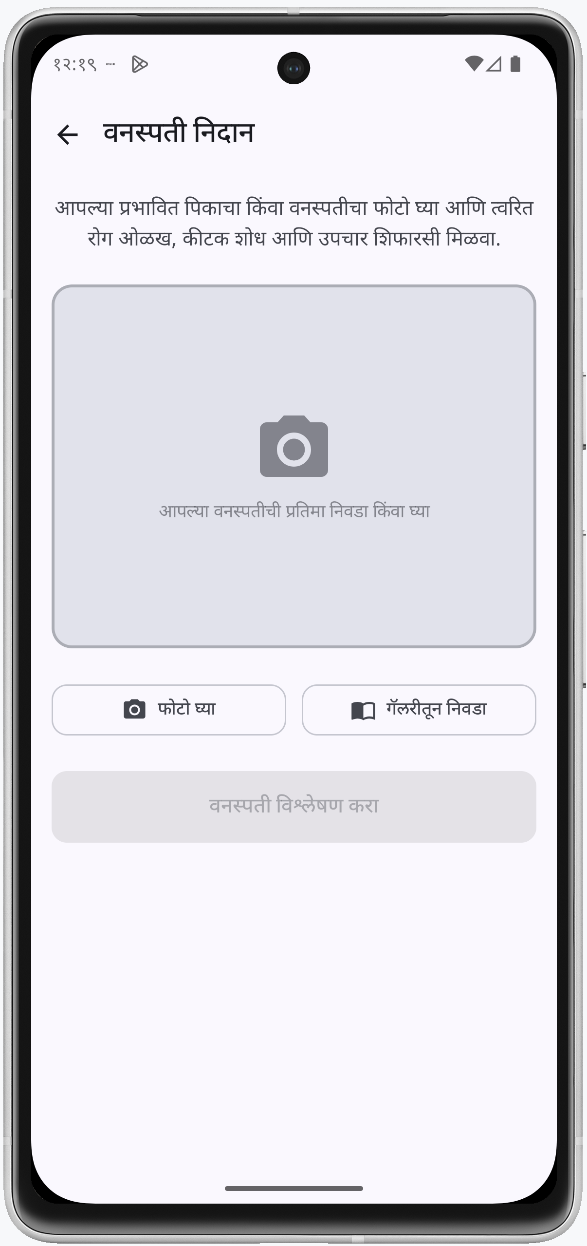 Plant Diagnosis Screenshot